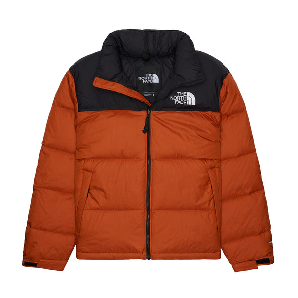 nort-nf0a3c8d-5po__3_grande.