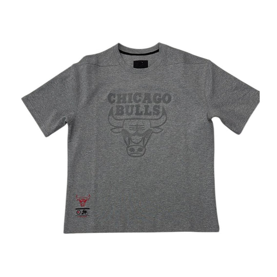 EQPT Mens NBA Chicago Bulls Classic Flogged Crew Neck T-Shirt PE-KT-304-CH-HGREY Heather Grey
