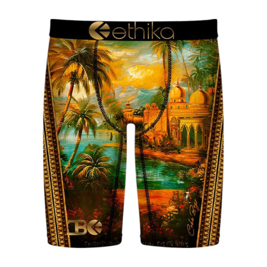 Ethika Mens MFMAAC2501 Boxer Brief MFMAAC2501-AST Assorted