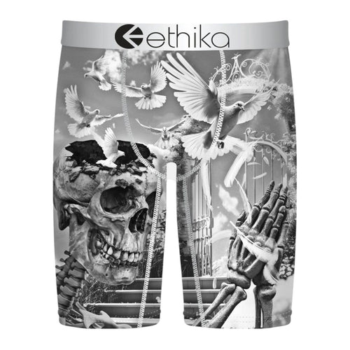 Ethika Mens MLUS3606 Boxer Brief MLUS3606-AST Assorted