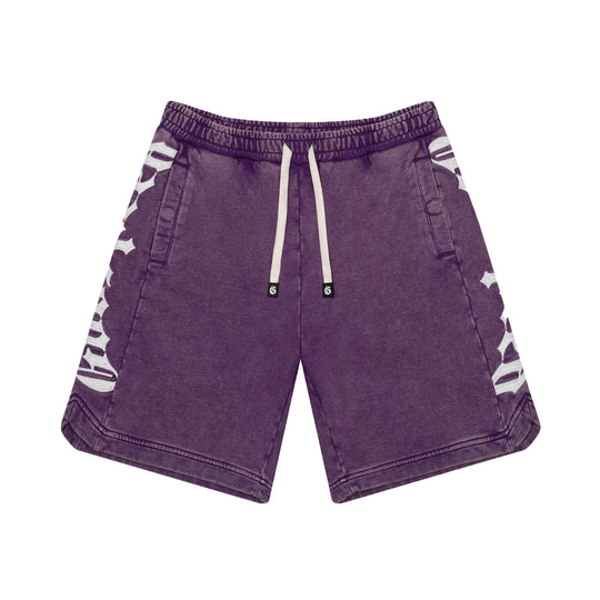 Godspeed Mens Courtside Shorts Grape Wash