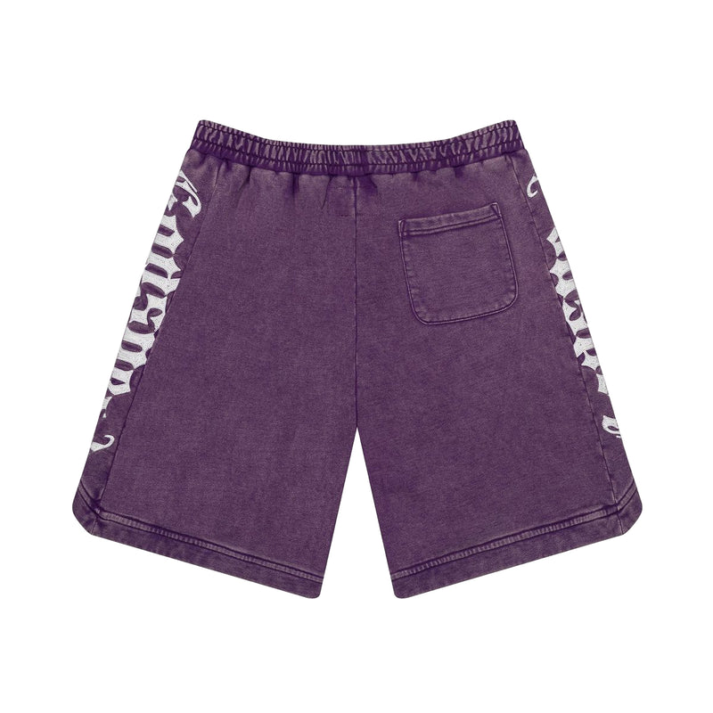 Godspeed Mens Courtside Shorts Grape Wash