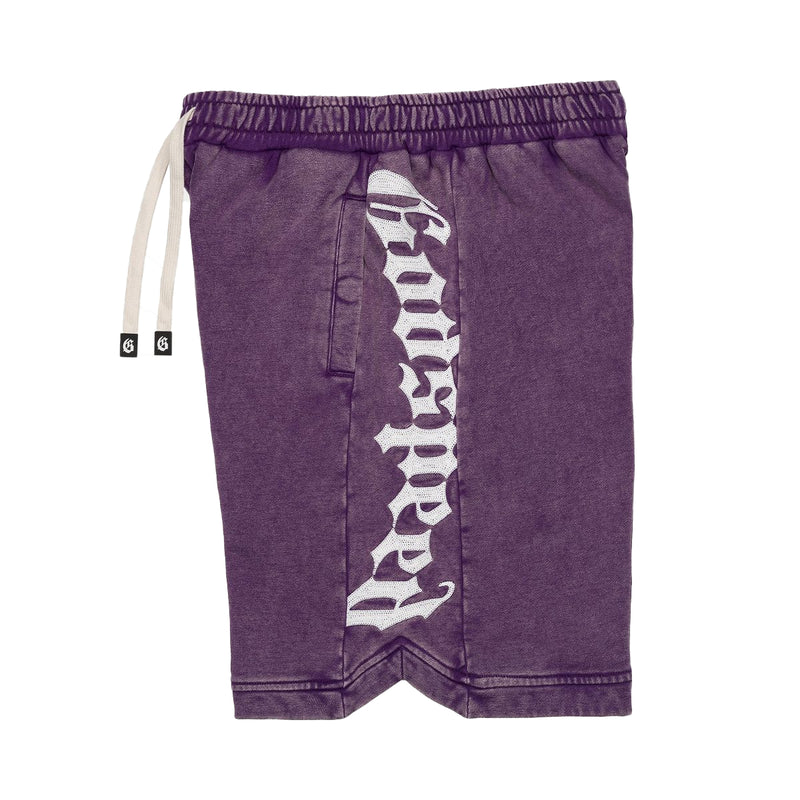 Godspeed Mens Courtside Shorts Grape Wash