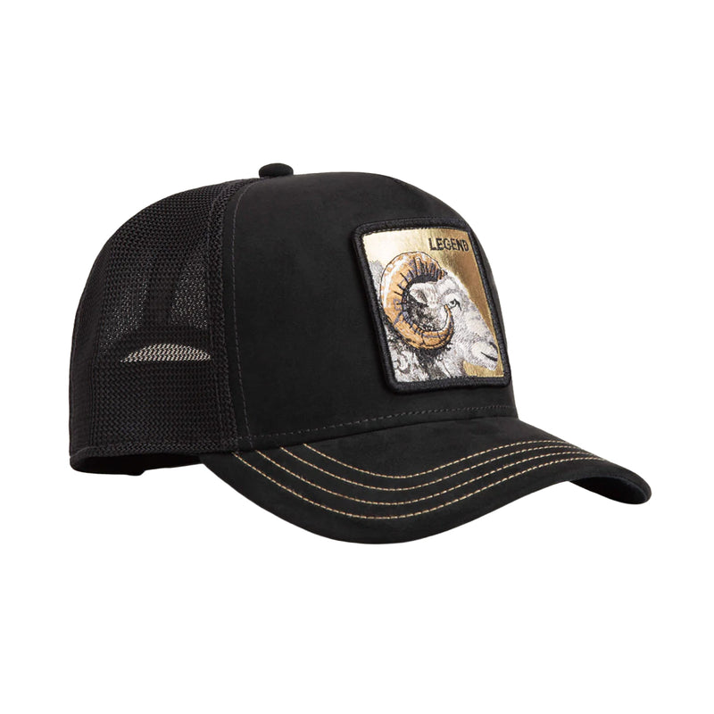Goorin Bros Unisex Legend Trucker Hat 101-2996-VOI01 Void