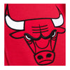 Mitchell & Ness Mens NBA Chicago Bulls Champ City Hoodie FPHD3236-CBUYYPPPSCAR Scarlet