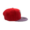 New Era Mens NFL Arizona Cardinals 2T Color Pack 9Fifty Snapback Hat 60322875 Red/Lavender, Grey Undervisor