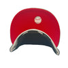 New Era Unisex MLB Houston Astros 2005 World Series 59Fifty Fitted Hat 70761526 Chrome Black/Olive, Red Undervisor