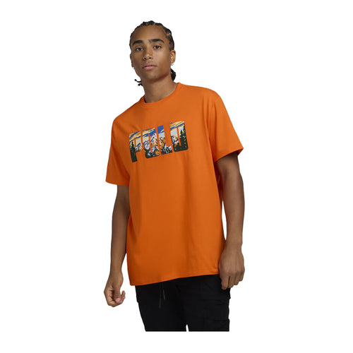 Polo Ralph Lauren Mens Jersey Knit Crew Neck T-Shirt 710952069002 Orange