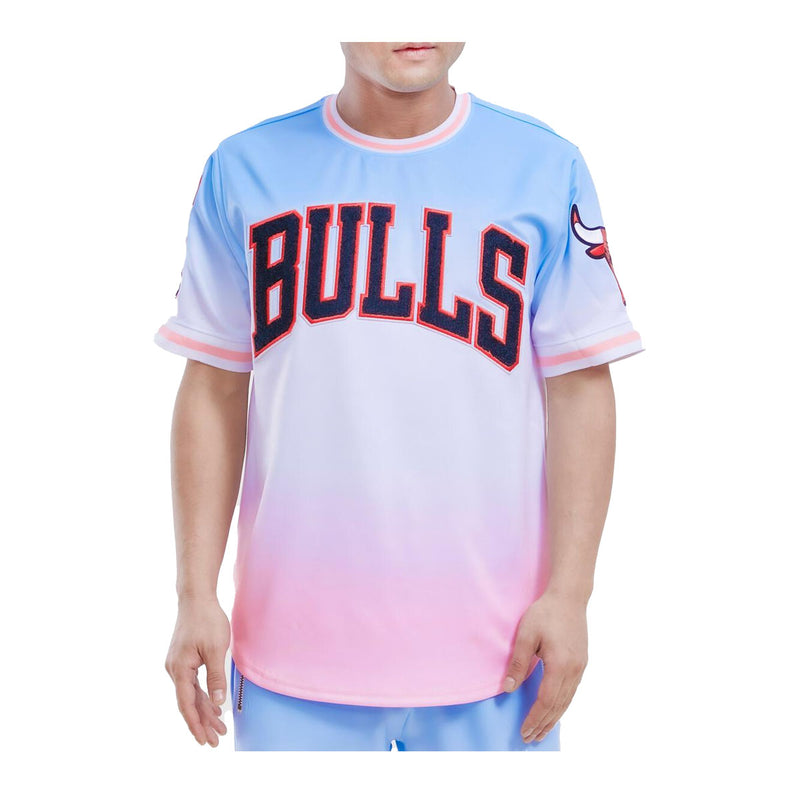 Pro Standard Mens NBA Chicago Bulls Logo Pro Team Crew Neck T-Shirt BCB153794-BWP Ombre