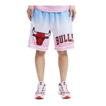 Pro Standard Mens NBA Chicago Bulls Logo Pro Team Shorts BCB353795-BWP Ombre