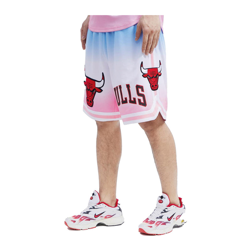 Pro Standard Mens NBA Chicago Bulls Logo Pro Team Shorts BCB353795-BWP Ombre