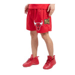 Pro Standard Mens NBA Chicago Bulls Classic Shorts BCB357050-RED Red