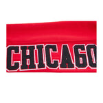 Pro Standard Mens NBA Chicago Bulls Logo Joggers BCB451538-RED Red
