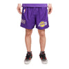 Pro Standard Mens NBA Los Angeles Lakers Classic Shorts BLL357055-PUR Purple