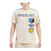 Pro Standard Mens NBA Memphis Grizzlies Retro Classic Sj Striped Crew Neck T-Shirt BMG158868-EUN Eun