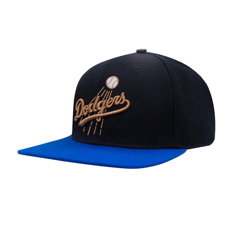 Pro Standard Unisex MLB Los Angeles Dodgers Album Cover Wool Snapback Hat LLD736880-BRY Black/Royal Blue