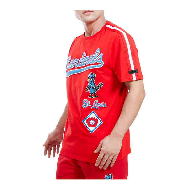 Men's St. Louis Cardinals Pro Standard Light Blue Team Logo T-Shirt