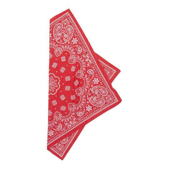 Purple Brand Mens Siral Bandana A4001-CBPK124 Pink