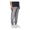 Purple Brand Mens Heavyweight Fleece Joggers P490-HHGG125 Grey