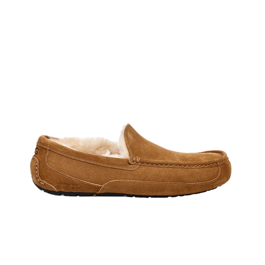 UGG Mens Ascot Slippers 1101110-CHE Chestnut