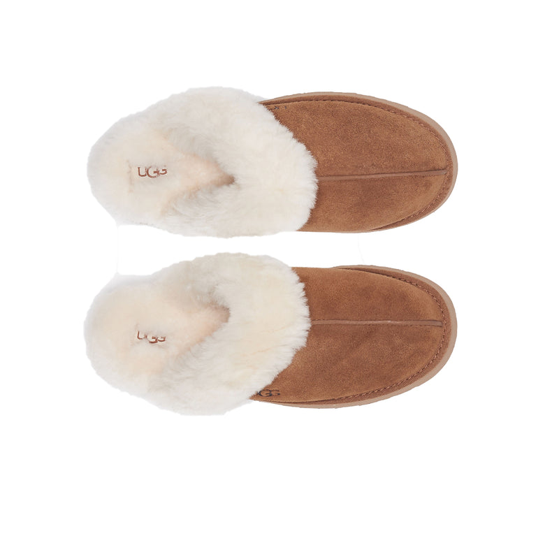 UGG Womens Disquette Slippers 1122550-CHE Chestnut