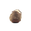 UGG Womens Dakota Slippers 5612-CHE Chestnut