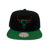 Mitchell & Ness Mens NBA Chicago Bulls Snapback Hats 6HSSRI20091-CBUBKGN Black/Green
